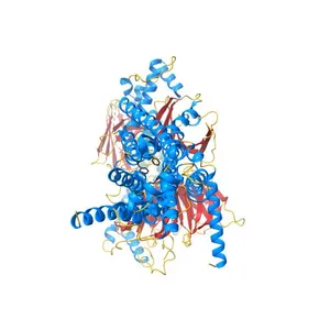 Cryo-EM structure of the PEA-bound TAAR1-Gs complex