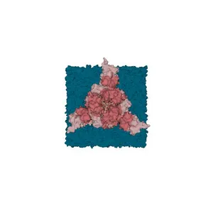SARS-CoV-2 Spike S Protein (Closed Conformation) in Membrane (PathogenAR)