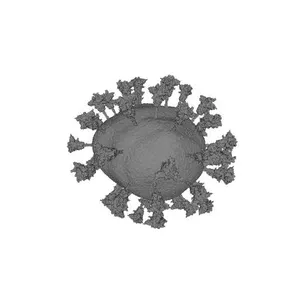 SARS-CoV-2 Virion (PathogenAR Version)