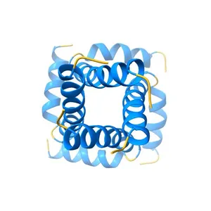 Solid State NMR structure of the M2 proton channel from Influenza A Virus in hydrated lipid bilayer