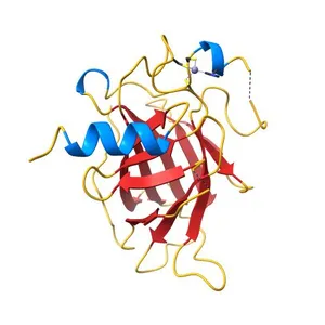 Human p53 core domain with hot spot mutation R249S and second-site suppressor mutations H168R and T123A
