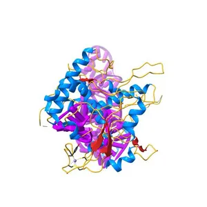 human ATE1 in complex with Arg-tRNA and a peptide substrate
