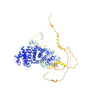 Striatin-interacting protein 1