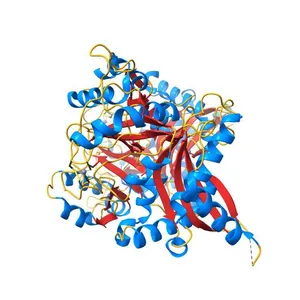 Apo form of human ATE1