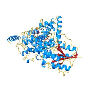 Crystal structure of Arabidopsis thaliana BIC2-CRY2 complex