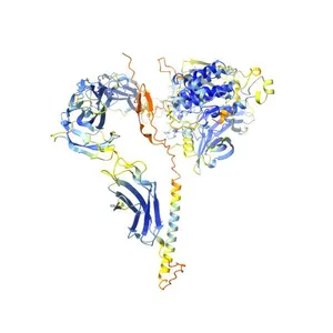 Tyrosine-protein kinase receptor Tie-1