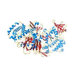 Kindlin-3/Integrin Beta2 Cytoplasmic Tail Complex