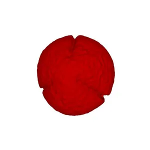 Clustered dock (Rumex conglomeratus) pollen grain