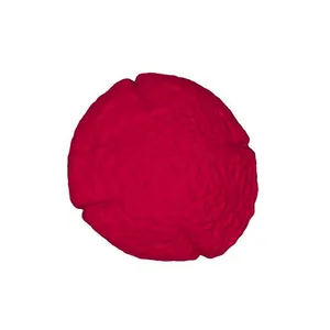 Common sorrel (Rumex acetosa) pollen grain: shrunken