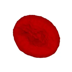 Common oak (Quercus robur) pollen grain