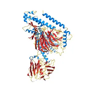 Cryo-EM structure of Long-wave-sensitive opsin 1