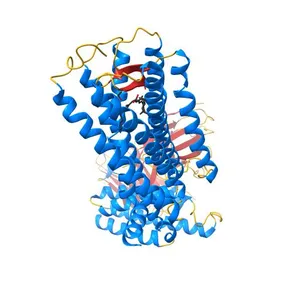 Dark-state structure of human medium-wave-sensitive cone opsin (OPN1MW)