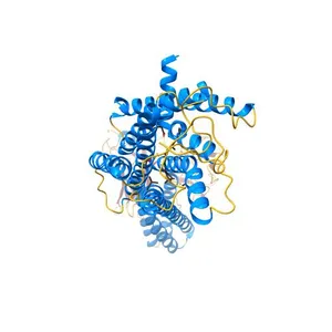 Dark-state structure of human short-wave-sensitive opsin (OPN1SW)