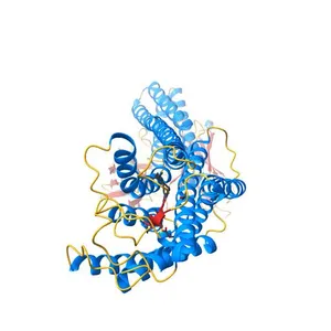 Pre-active dark-state structure of human short-wave-sensitive opsin (OPN1SW)