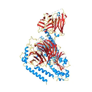 Cryo-EM structure of Medium-wave-sensitive opsin 1
