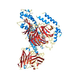 Cryo-EM structure of Short-wave-sensitive opsin 1
