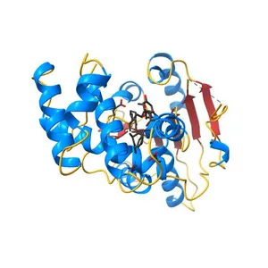 Crystal Structure of the Human Fatty Acid Synthase Thioesterase Domain with an Activate Site-Specific Polyunsaturated Fatty Acyl Adduct