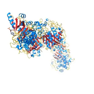 KS-MAT DI-DOMAIN OF MOUSE FAS WITH MALONYL-COA
