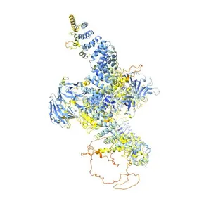 Leucine-rich repeat serine/threonine-protein kinase 2
