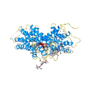 CRYSTAL STRUCTURE OF BOVINE RHODOPSIN