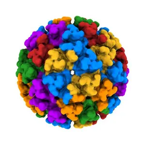 Electron cryo-microscopy of Chikungunya virus
