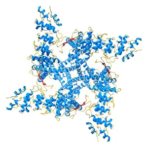 Structure of TRPV1 ion channel determined by single particle electron cryo-microscopy