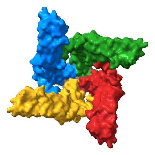 Structure of TRPV1 ion channel determined by single particle electron cryo-microscopy — Image 2 of 12
