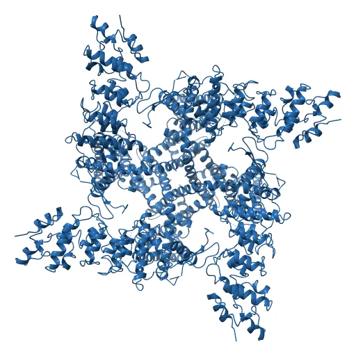 Structure of TRPV1 ion channel determined by single particle electron cryo-microscopy — Image 3 of 12