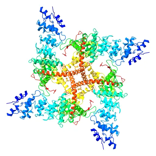 Structure of TRPV1 ion channel determined by single particle electron cryo-microscopy — Image 4 of 12