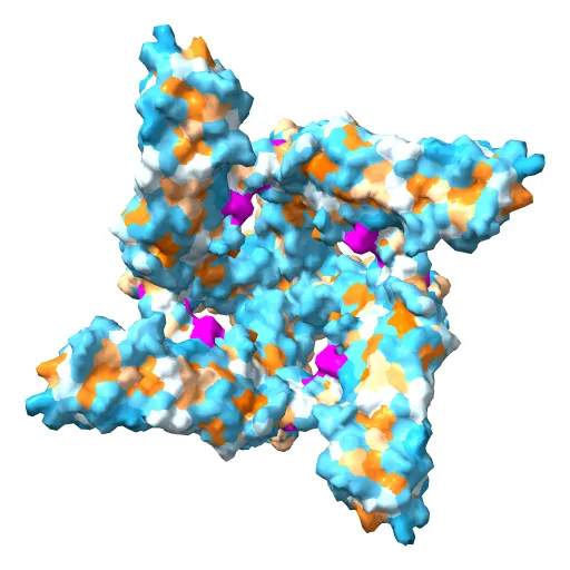 Structure of TRPV1 ion channel determined by single particle electron cryo-microscopy — Image 5 of 12