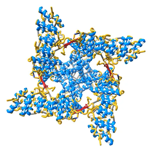 Structure of TRPV1 ion channel determined by single particle electron cryo-microscopy — Image 6 of 12