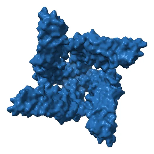 Structure of TRPV1 ion channel determined by single particle electron cryo-microscopy — Image 8 of 12