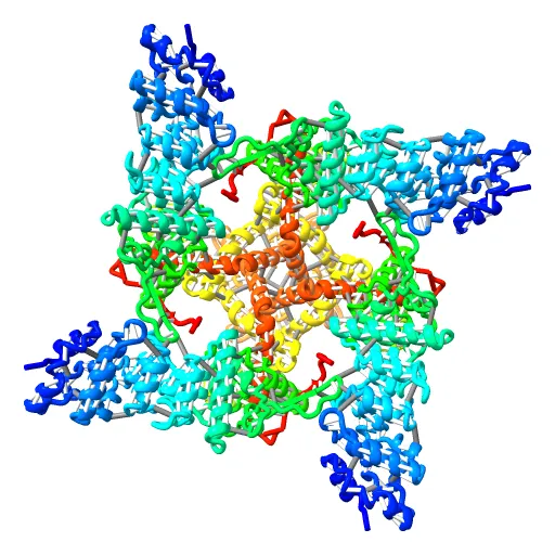 Structure of TRPV1 ion channel determined by single particle electron cryo-microscopy — Image 9 of 12