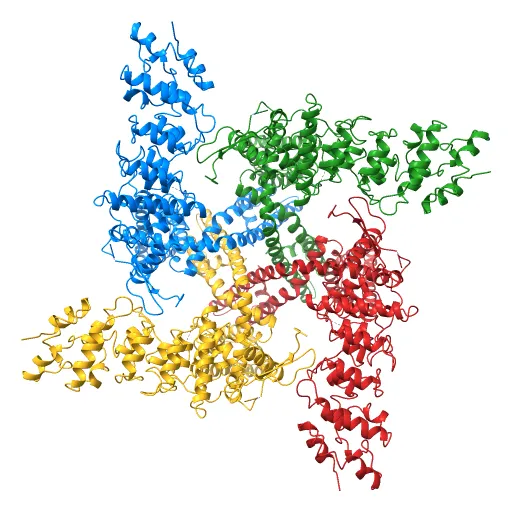 Structure of TRPV1 ion channel determined by single particle electron cryo-microscopy — Image 10 of 12