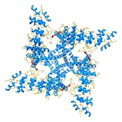 Structure of TRPV1 ion channel determined by single particle electron cryo-microscopy — Image 11 of 12