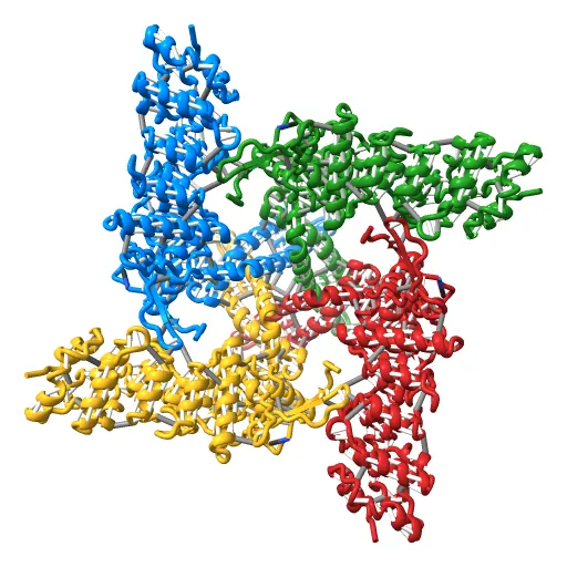 Structure of TRPV1 ion channel determined by single particle electron cryo-microscopy — Image 12 of 12