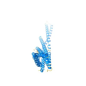 The crystal structure of the BAR domain from human Bin1/Amphiphysin II and its implications for molecular recognition