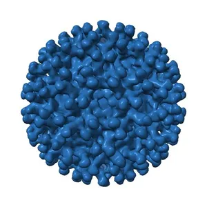 Electron cryo-microscopy of chikungunya virus in complex with neutralizing antibody Fab 4J21
