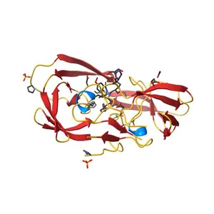 Crystal Structure of wild-type HIV-1 Protease in Complex with MKP56