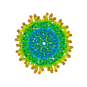 EMD-3148: Electron cryo-microscopy of chikungunya virus in complex with neutralizing antibody Fab 4J21