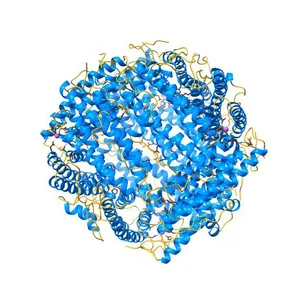 Mycobacterium smegmatis Dps tetragonal form