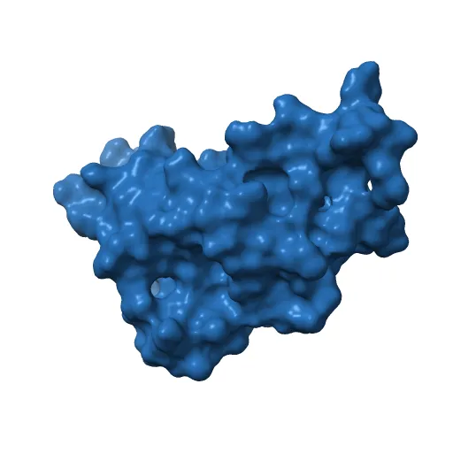 Human prion protein — Image 4 of 13