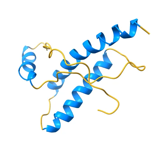 Human prion protein — Image 5 of 13