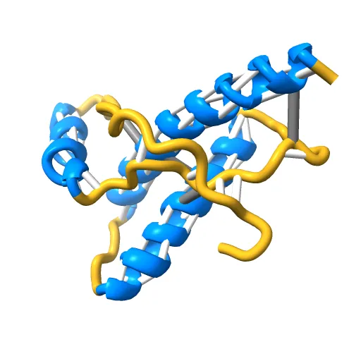 Human prion protein — Image 8 of 13