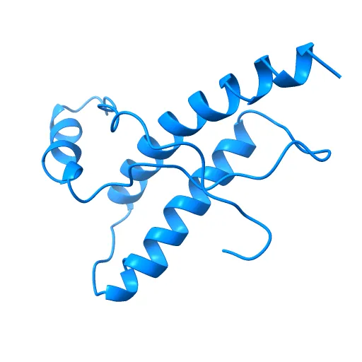 Human prion protein — Image 9 of 13