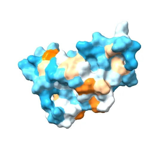 Human prion protein — Image 11 of 13