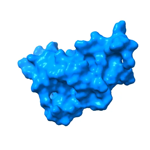 Human prion protein — Image 12 of 13