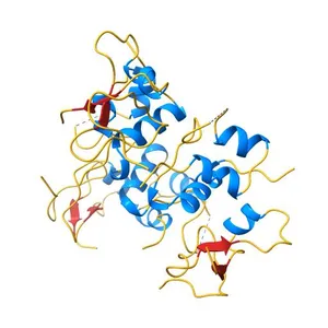 Complex of IGFBP-5 with IGF-I