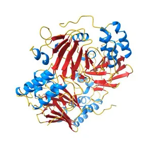 Crystal structure of a phosphorylated Smad2