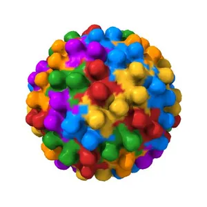 Human hepatitis B virus T=4 capsid strain adyw complexed with assembly effector HAP1